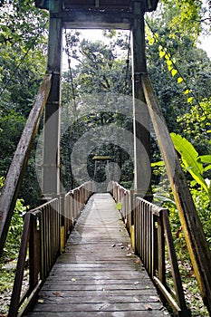 Hanging bridge leading to the Forest House Maison de la Forest in Basse-Terre, Guadeloupe