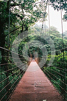 Hanging bridge in Monteverde Costa Rica