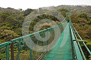 Hanging bridge in Monteverde reserve in Costarica