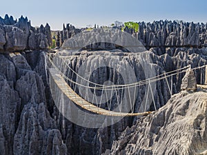 Hanging bridge over the canyon at Tsingy de Bemaraha National Park, Madagascar