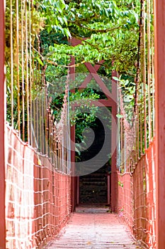 Hanging bridge into the rainforest