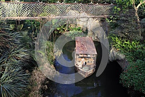 Hanging bridge in the rainforest