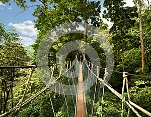Hanging bridge on wildlife reserve park photo