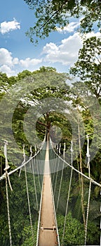 Hanging bridge on wildlife reserve park photo