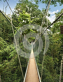 Hanging bridge on wildlife reserve park photo