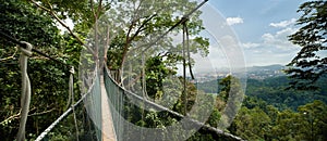 Hanging bridge on wildlife reserve park photo