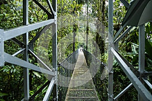 Hanging bridges adventure