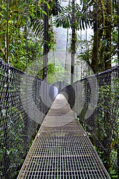 Hanging bridges adventure