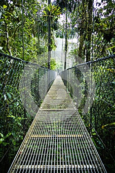 Hanging bridges adventure