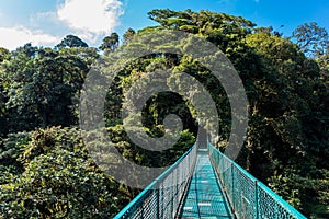 Hanging Bridges in Cloudforest - Costa Rica