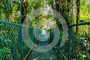 Hanging Bridges in Cloudforest - Costa Rica