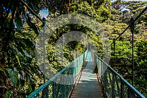 Hanging Bridges in Cloudforest - Costa Rica