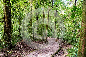 Hanging Bridges in Cloudforest - Costa Rica