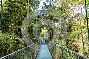 Hanging Bridges in Cloudforest - Costa Rica