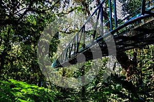 Hanging Bridges in Cloudforest - Monteverde, Costa Rica