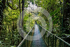 Hanging Bridges in Cloudforest - Monteverde, Costa Rica