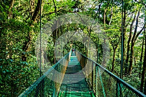 Hanging Bridges in Cloudforest - Monteverde, Costa Rica