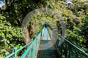 Hanging Bridges in Cloudforest - Monteverde, Costa Rica