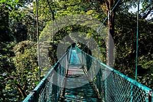 Hanging Bridges in Cloudforest - Monteverde, Costa Rica