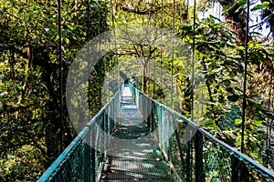 Hanging Bridges in Cloudforest - Monteverde, Costa Rica