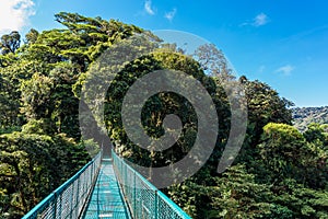 Hanging Bridges in Cloudforest - Monteverde, Costa Rica