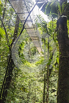 Hanging bridges in Costa Rica jungle