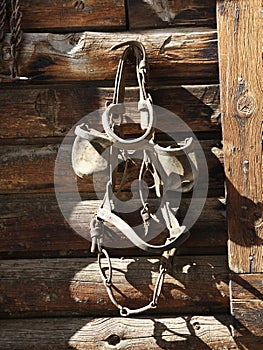 Hanging Bridle with Blinders