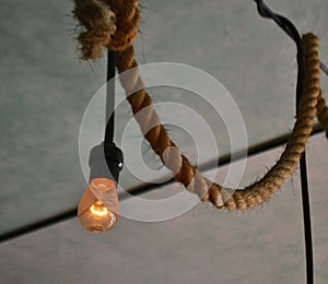 Hanging Bulbs photo