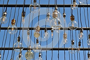 Hanging bulbs photo