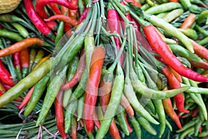 Hanging Bunch of Fresh Hot Peppers