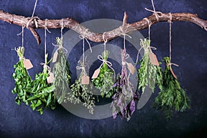 Hanging bunches of edible herbs with blank tags on a curved wooden crossbar