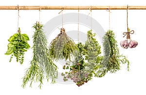 Hanging bunches of fresh spicy herbs isolated on white