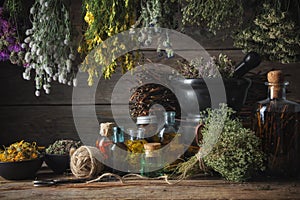 Hanging bunches of medical herbs, mortar and bowl with dried medicinal plants, infusion and essential oil bottles.