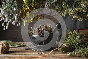 Hanging bunches of medicinal herbs, black mortar with dried plants. Alternative medicine photo