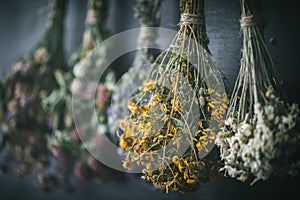 Hanging bunches of medicinal herbs, focus on hypericum flower.