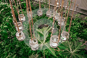 Hanging candles in the greenhouse. Hanging decorative lights