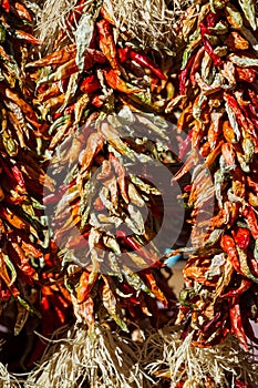 Hanging chili ristras