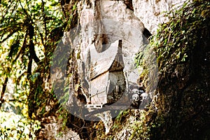 Hanging coffins, graves. Old coffin with skulls and bones nearby on a rock. Burials site, cemetery Kete Kesu, Sulawesi, Indonesia