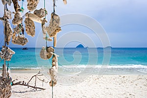Hanging coral, Perhentian Islands, Malaysia