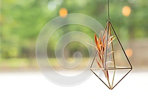 Hanging decorative flower pot near the window