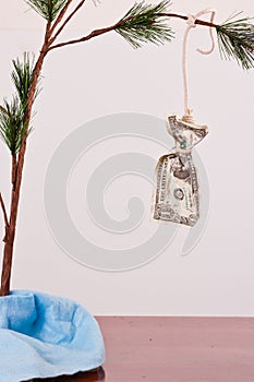 Hanging dollar