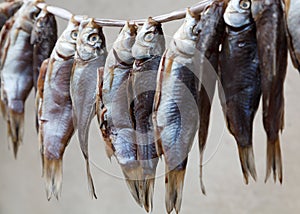 Hanging dried fish for sale