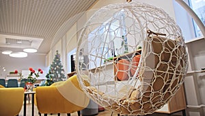 Hanging egg chair with pillows for workers rest in office