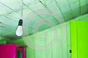 Hanging Energy Saving LED Light Bulb. Walls And Ceiling Decorated With Green Wooden Planks, Opened Green Door And Violet Cupboard