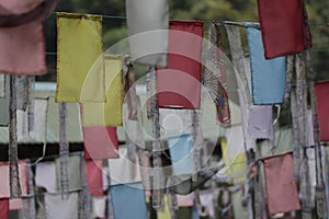 Hanging Fabrics in Various Patterns