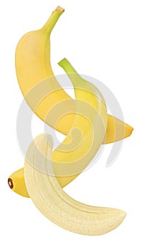 Hanging, falling, soaring and flying banana fruits and peeled piece isolated on white with clipping path