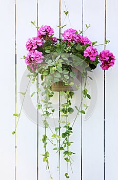 Hanging flower basket