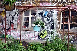 Hanging flower pot in urban garden