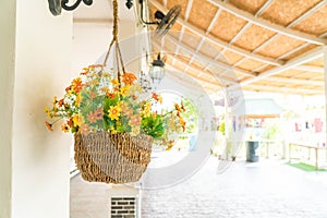 hanging flower pot on wall