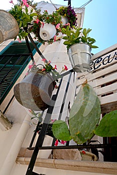 Hanging flower pots with blooming flowers and opuncia cactus flower in the street of Locorotondo town, Italy, Apulia region